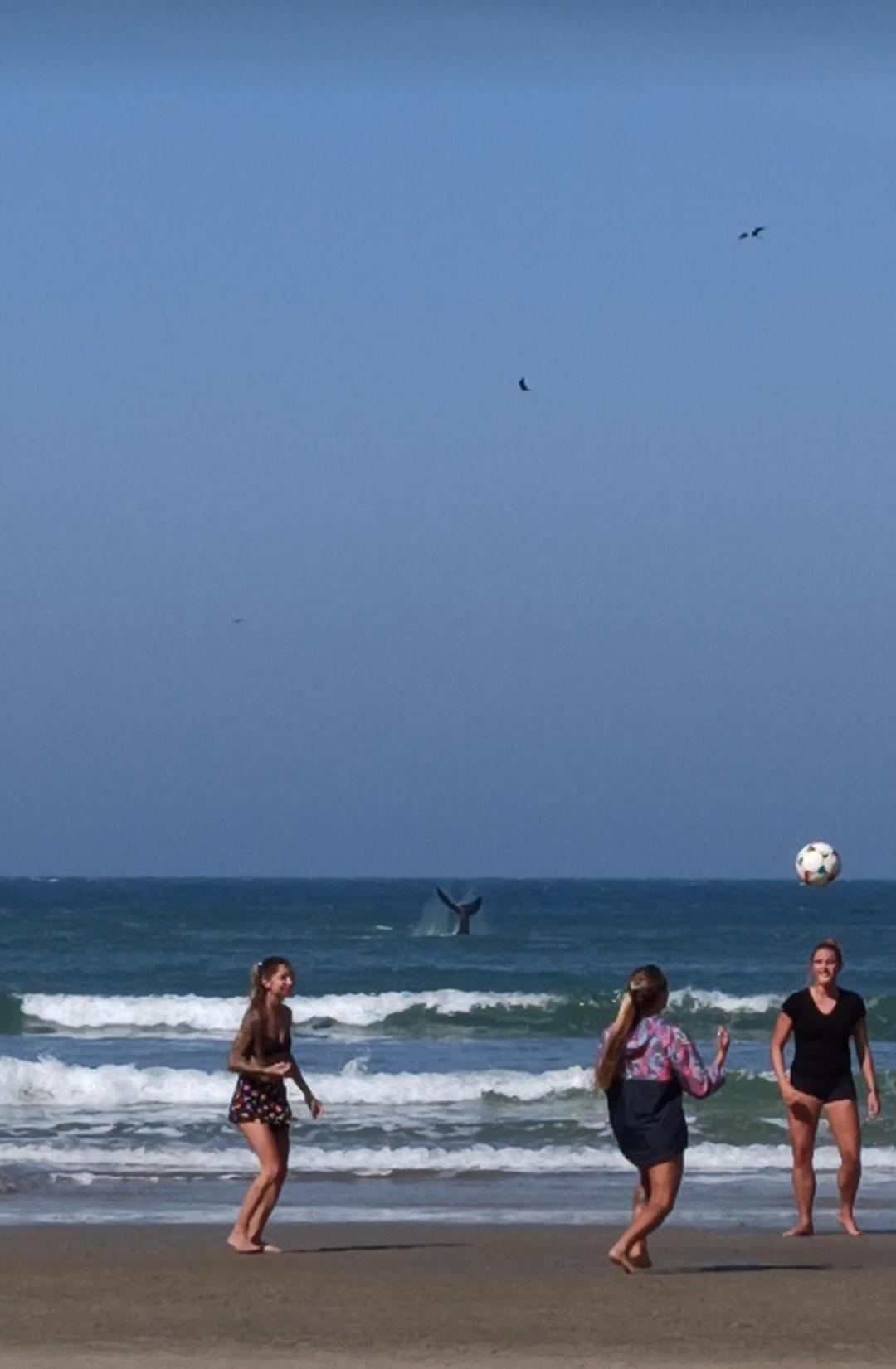 Casa Dos Ventos Hospedagem Praia Do Rosa Zewnętrze zdjęcie